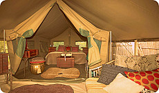 Meno a Kwena Camp