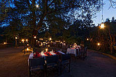 Reni Pani Jungle Lodge