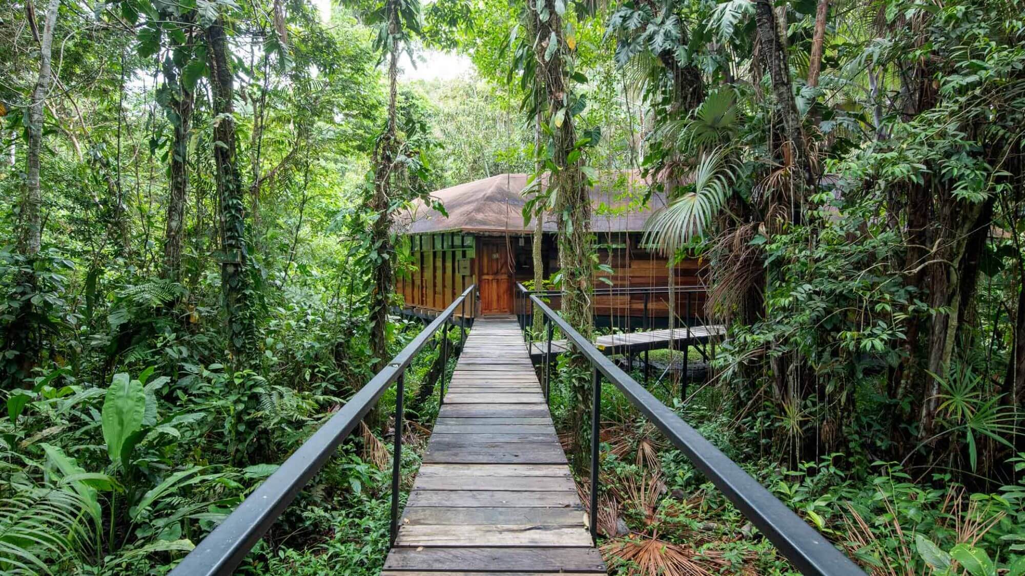 Sacha Lodge - Amazon (1)