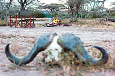 Serengeti Halisi Camp
