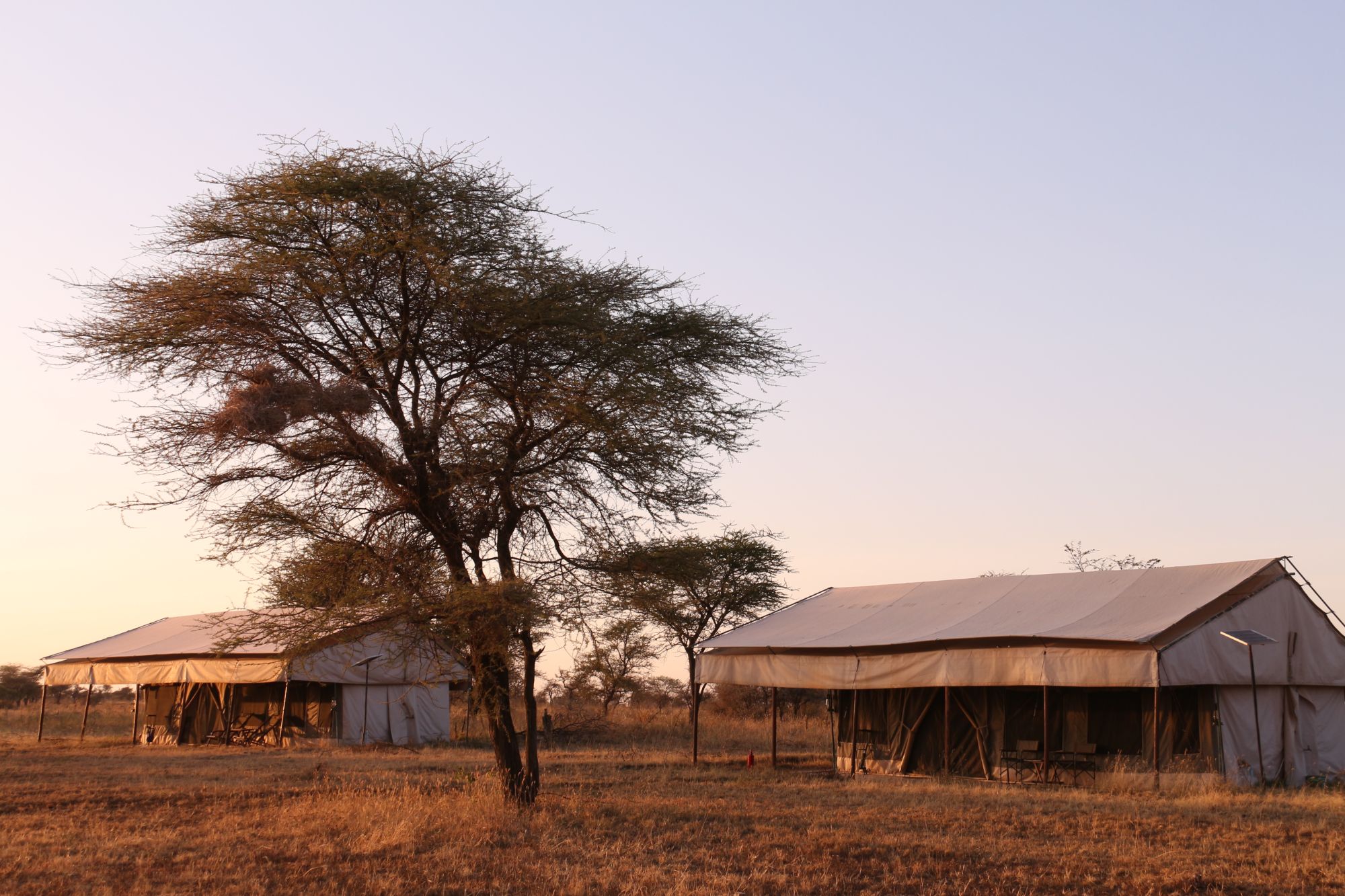 Tanzania Central Bush Camp (3) - 