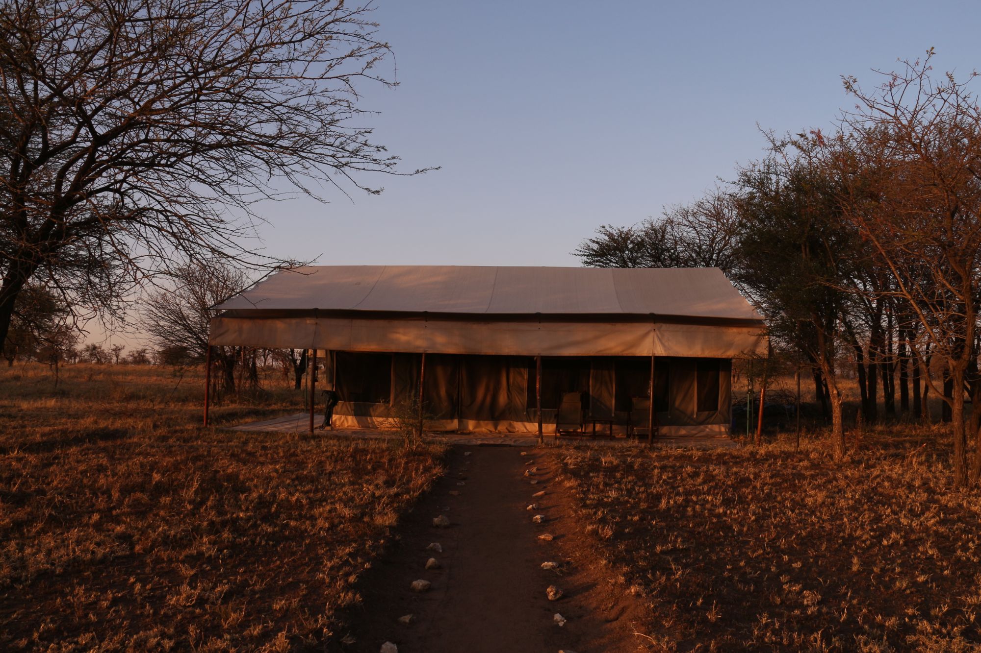 Tanzania Central Bush Camp (4) - 