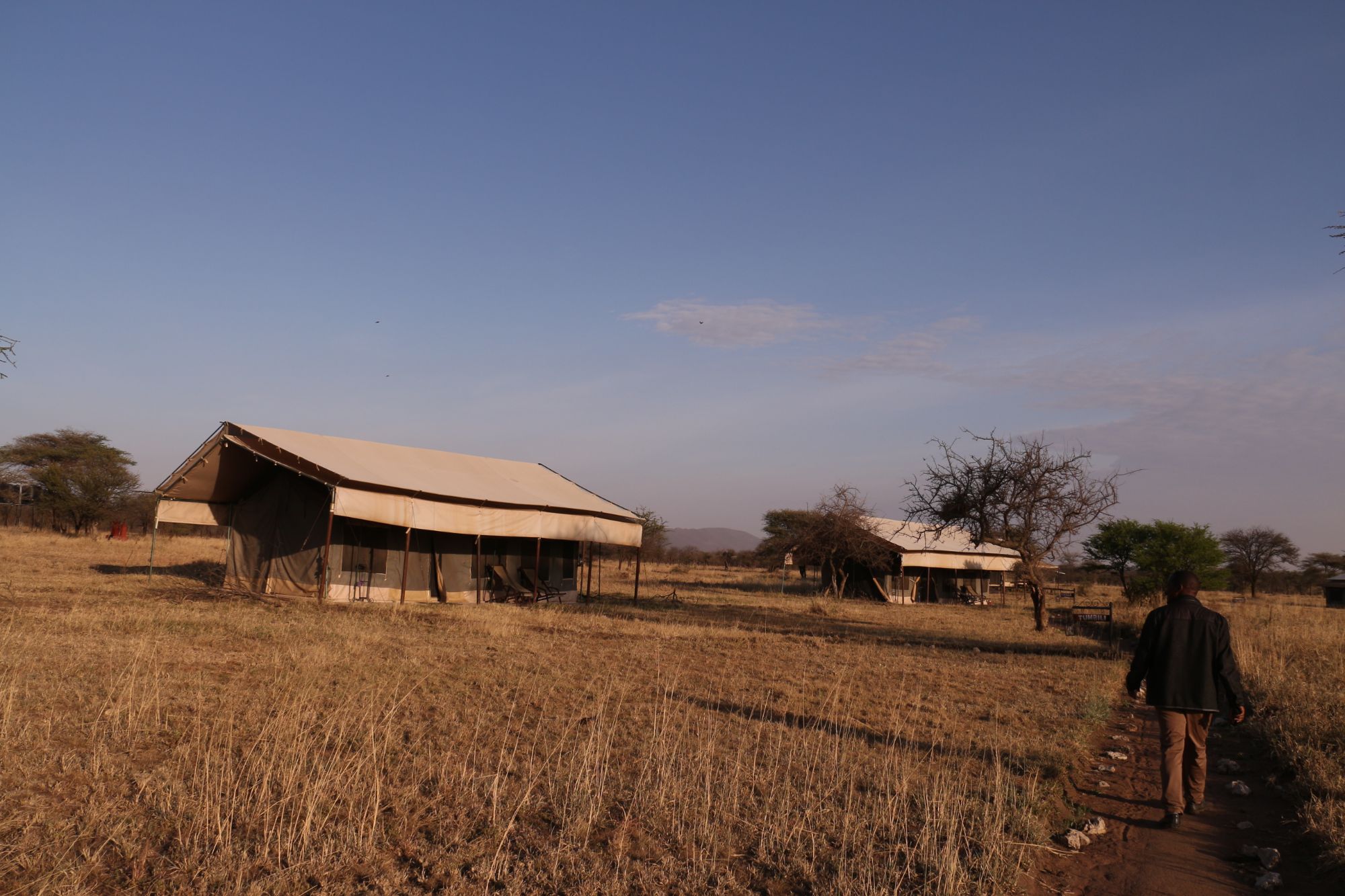 Tanzania Central Bush Camp (7) - 