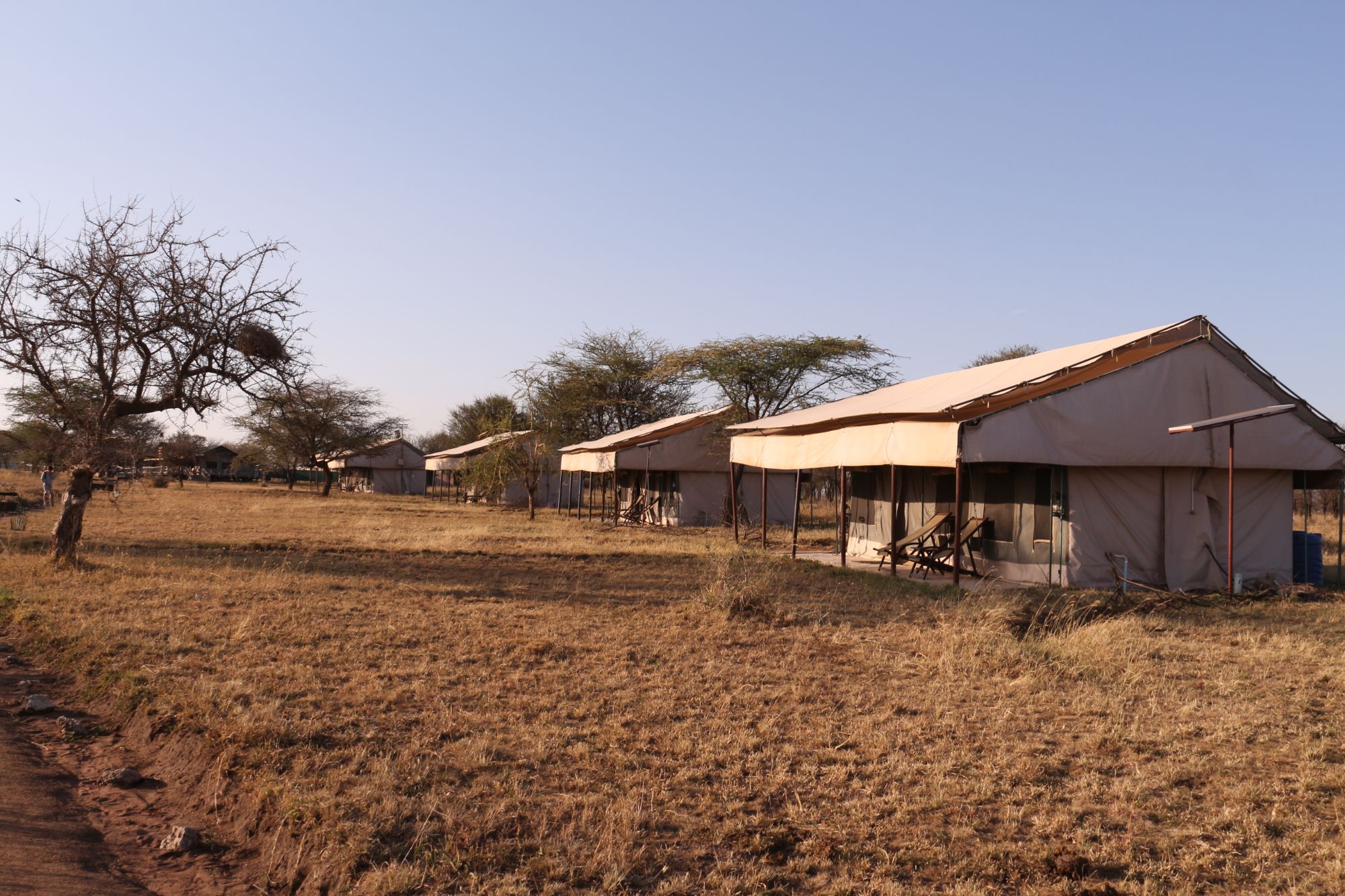 Tanzania Central Bush Camp (16) - 