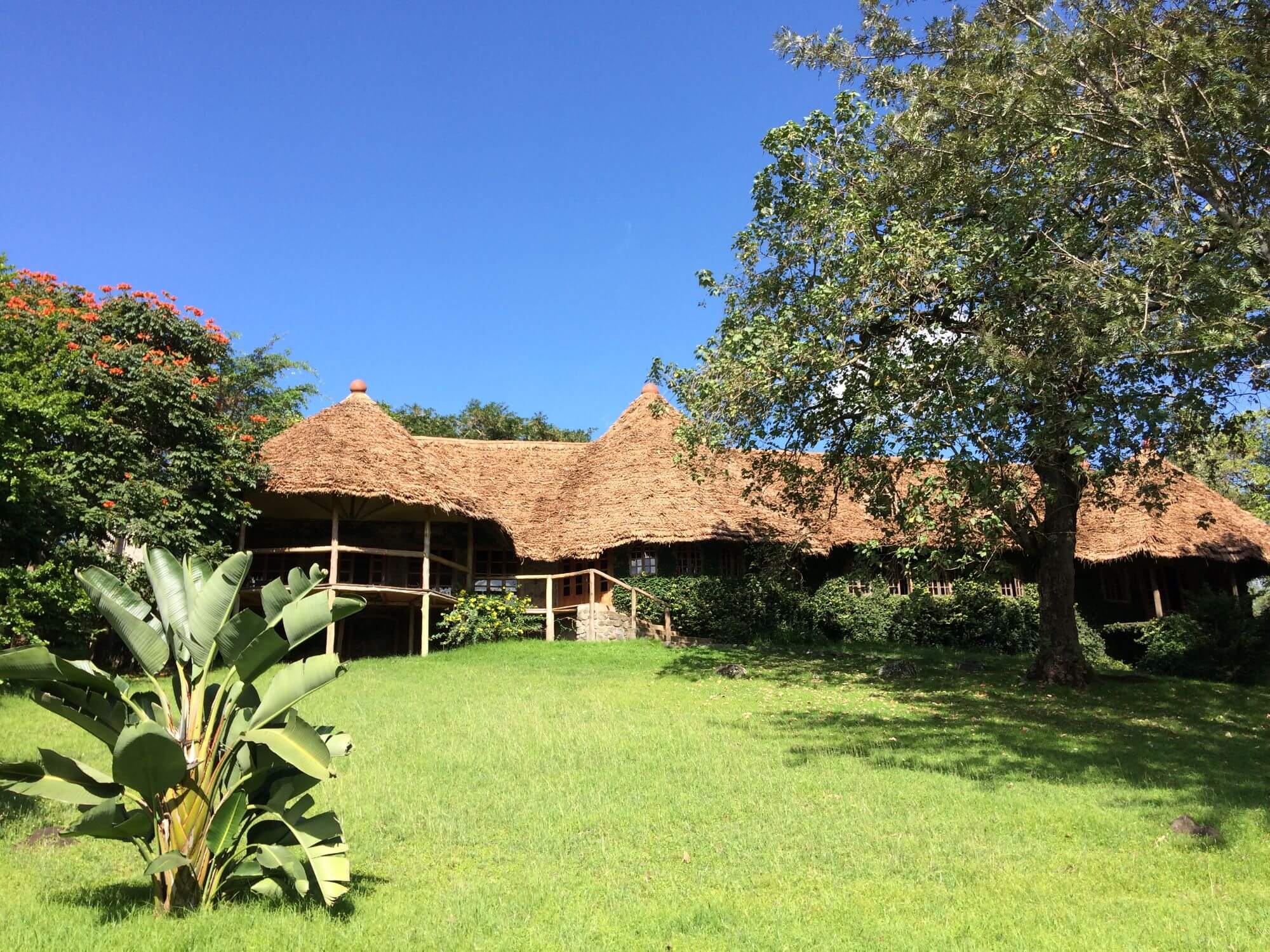 The African House - Lodge (2) - 