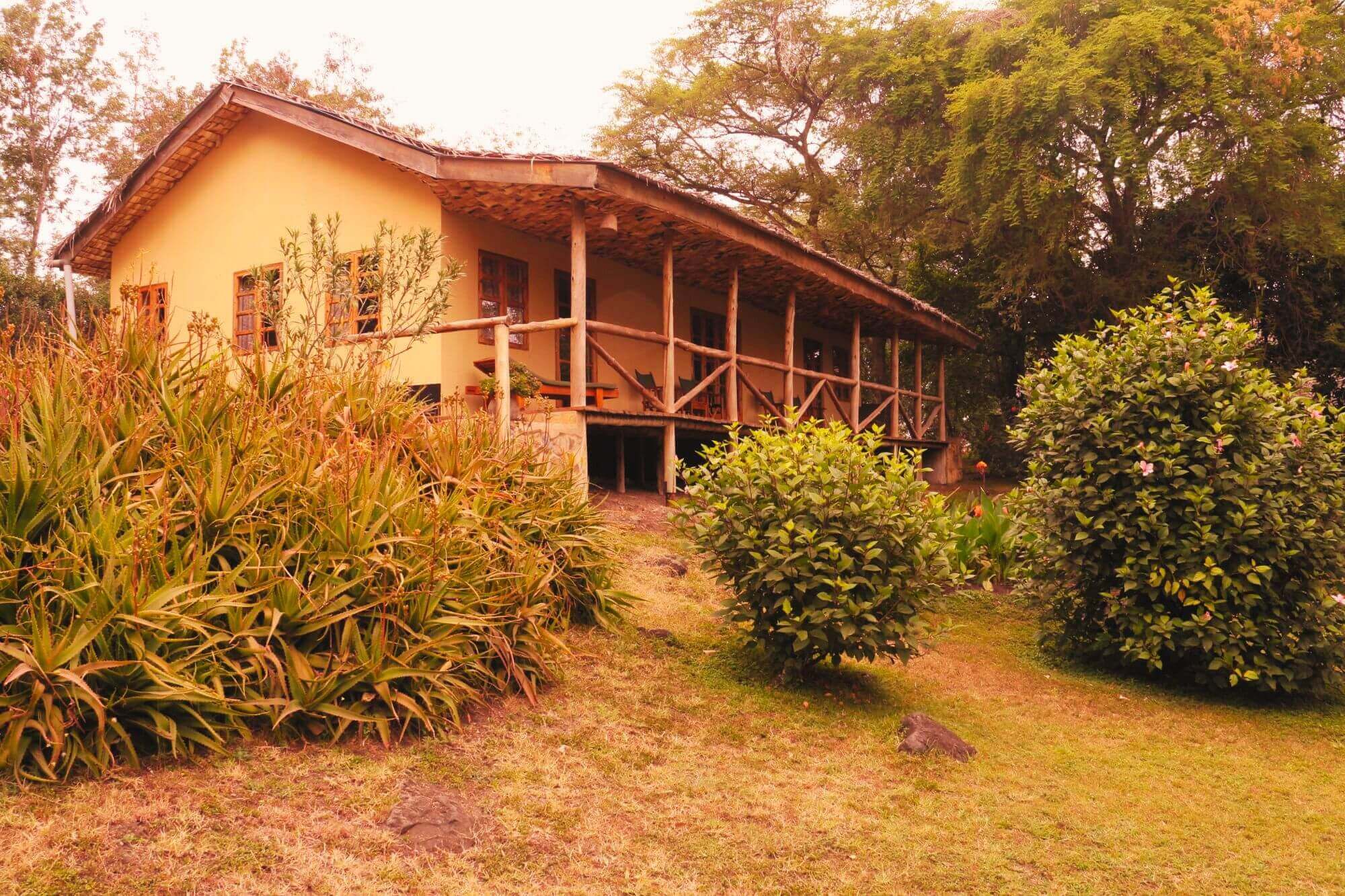 The African House (4)