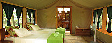 Udzungwa Forest Camp