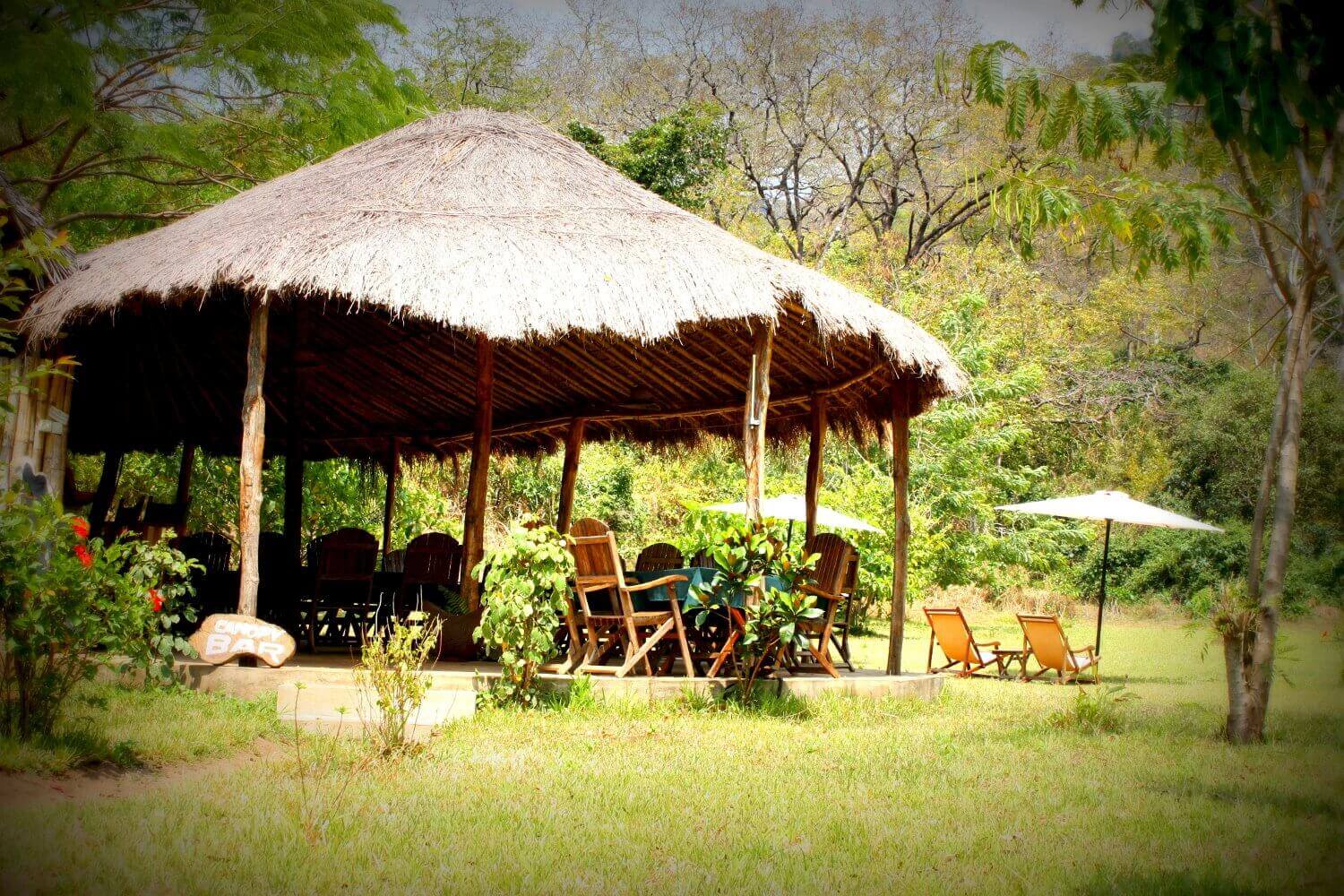 Udzungwa Forest Lodge (2) - 