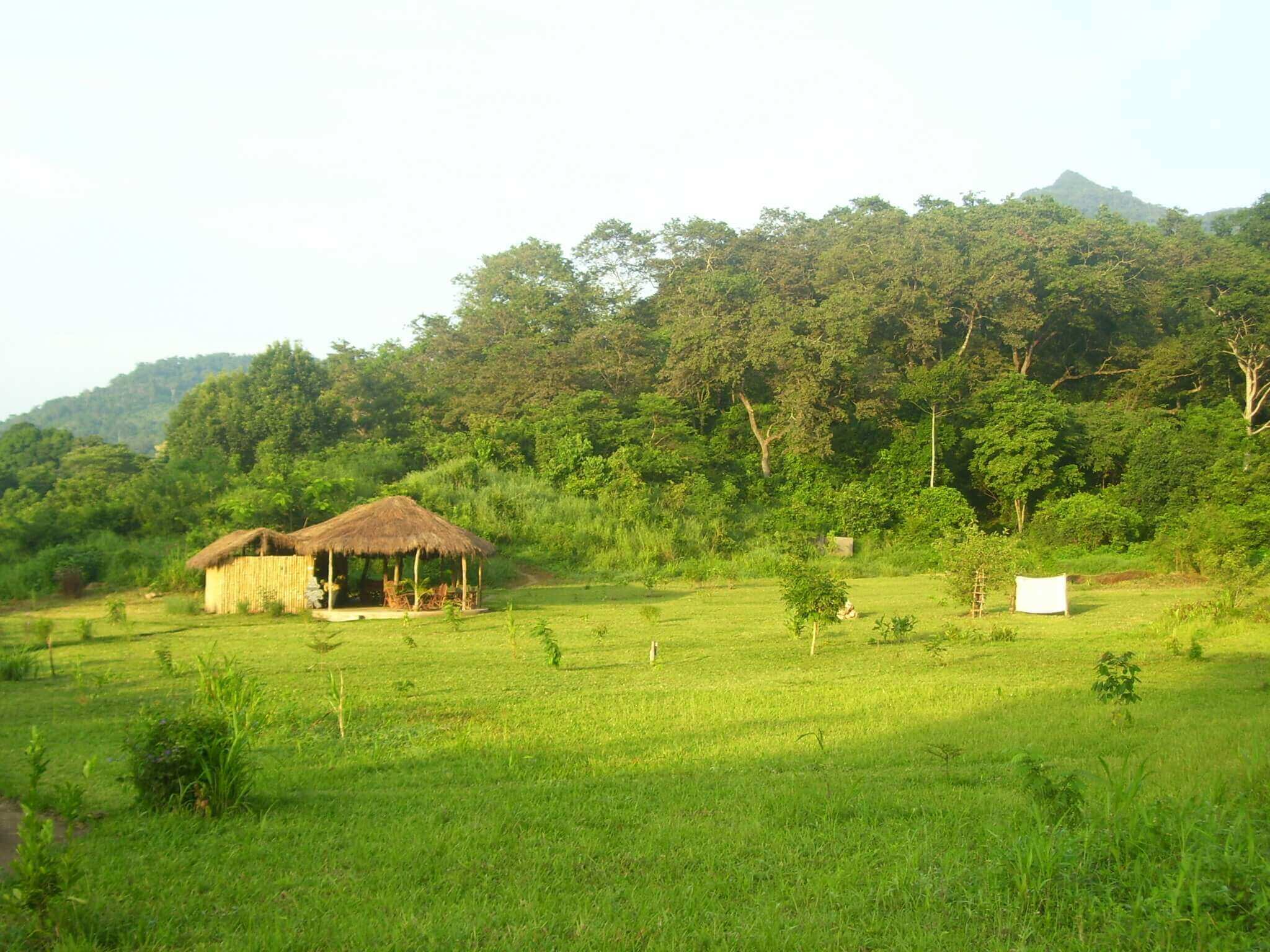 Udzungwa Forest Lodge (6) - 