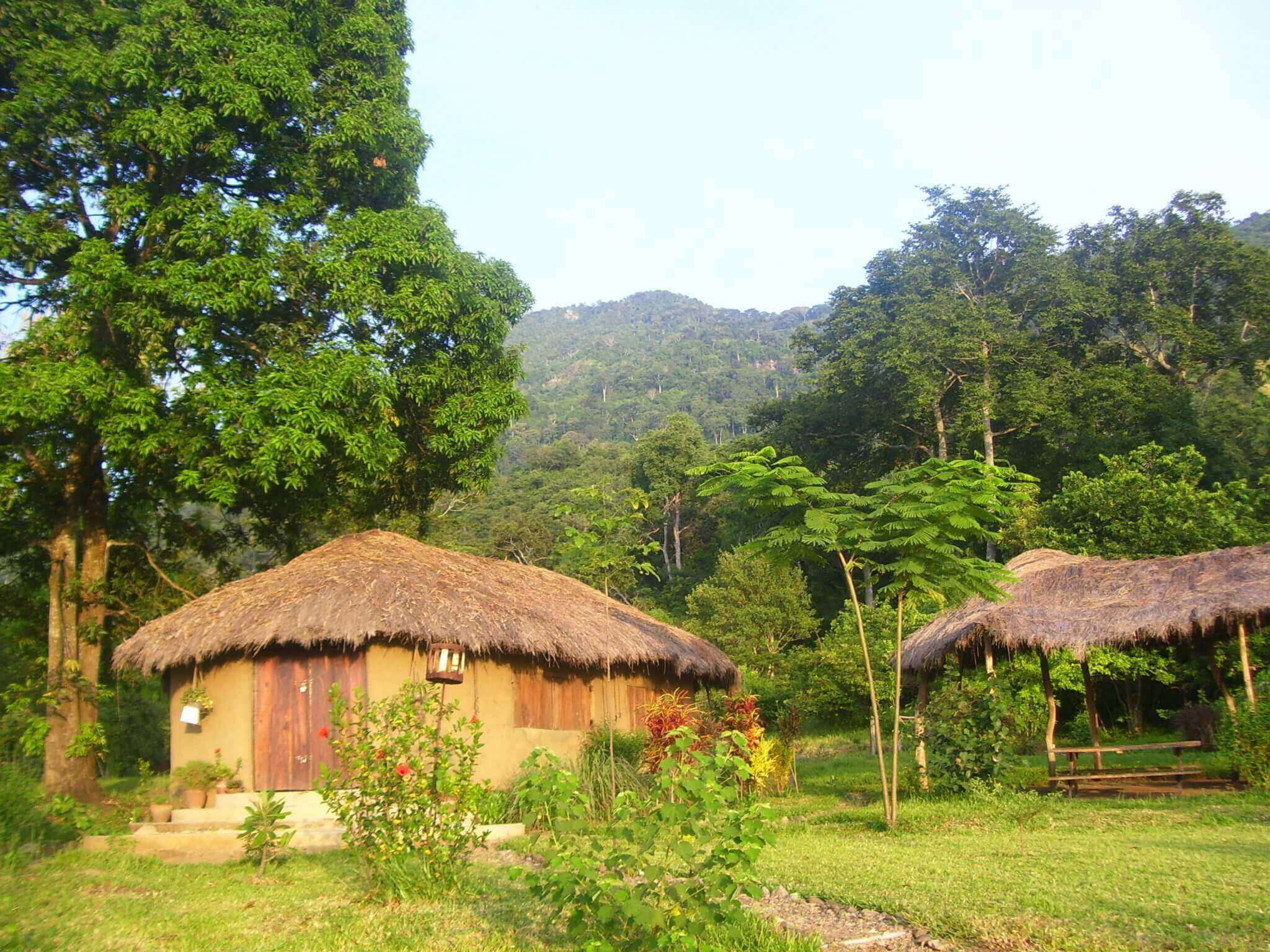 Udzungwa Forest Lodge (10) - 