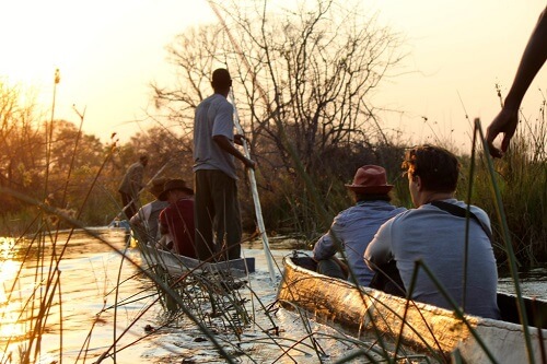 Abstecher ins Okavango Delta image