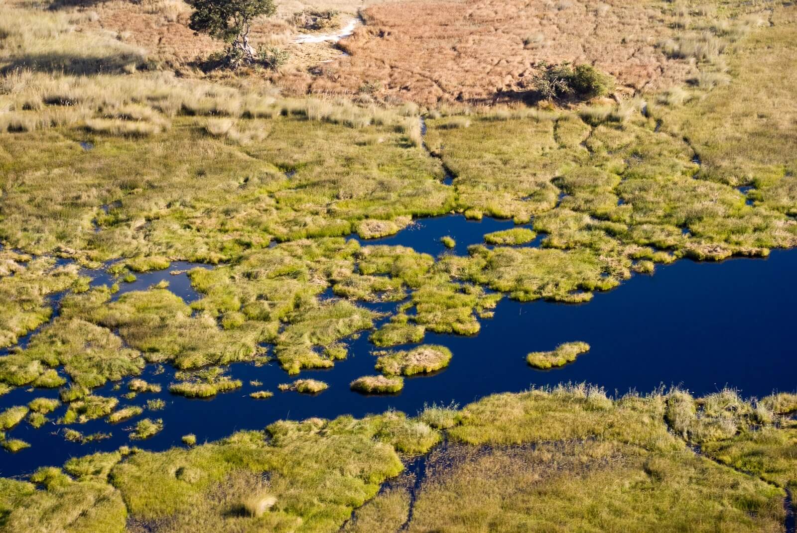 Die zauberhafte Wasserwelt des Okavango Deltas image
