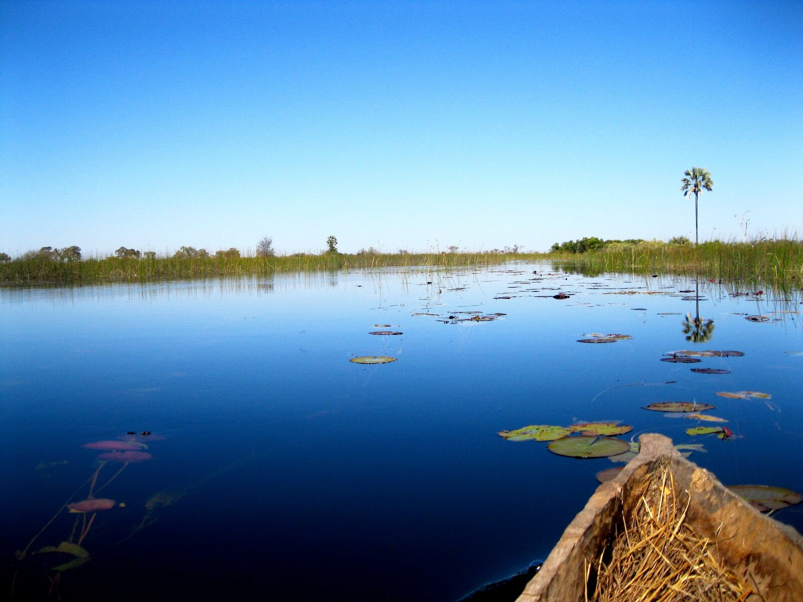 Botswana Superlativ Safari: Okavango und Kalahari