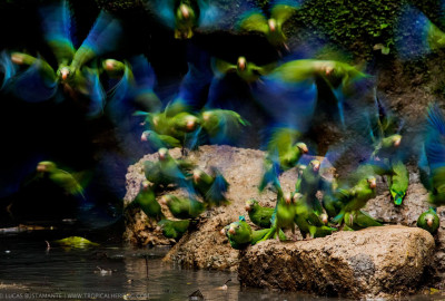 Ecuador Grand Safari image