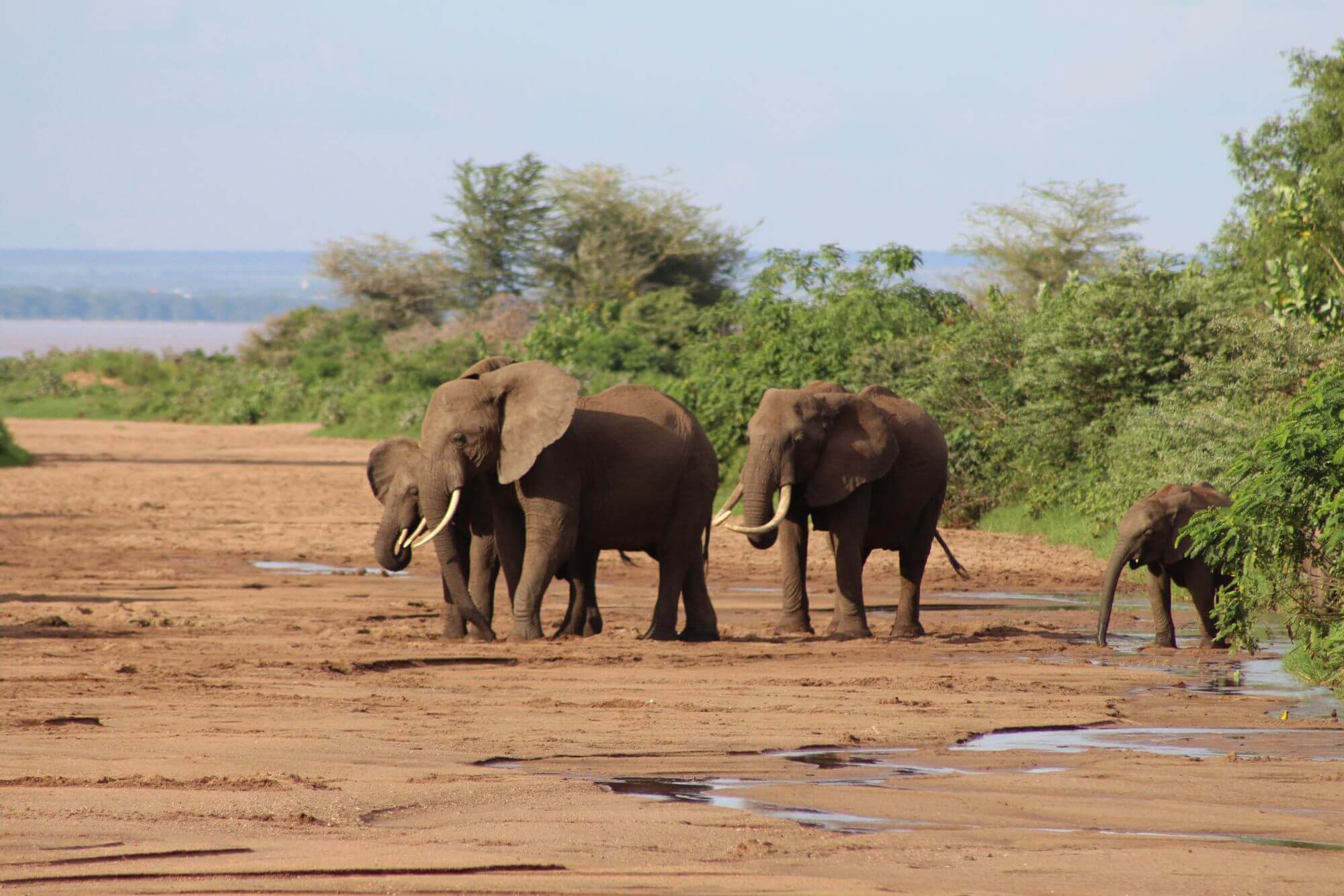 Der kleinste Nationalpark Tansanias image