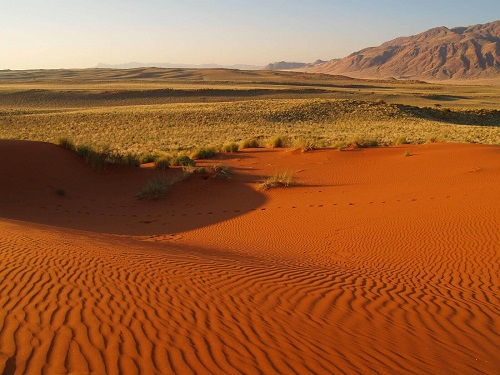 Namib Naukluft Nationalpark image