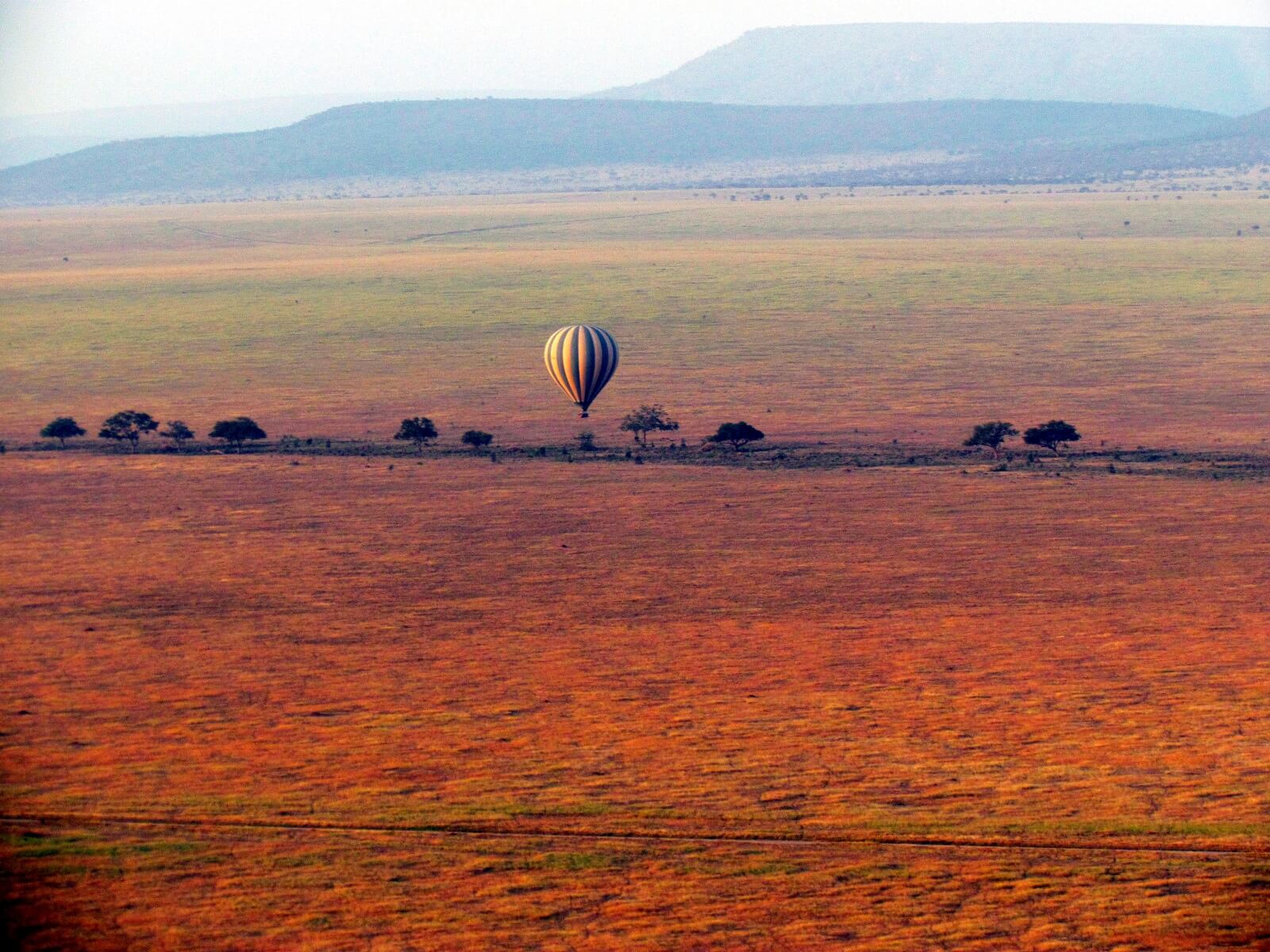 Serengeti Seronera image