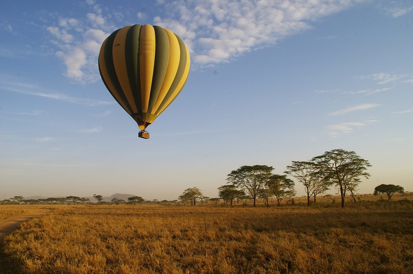 Serengeti Ndutu-Kälbung und die Buschmänner von Lake Eyasi