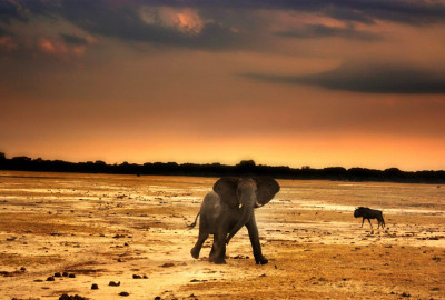 Simbabwe Incredible Safari image