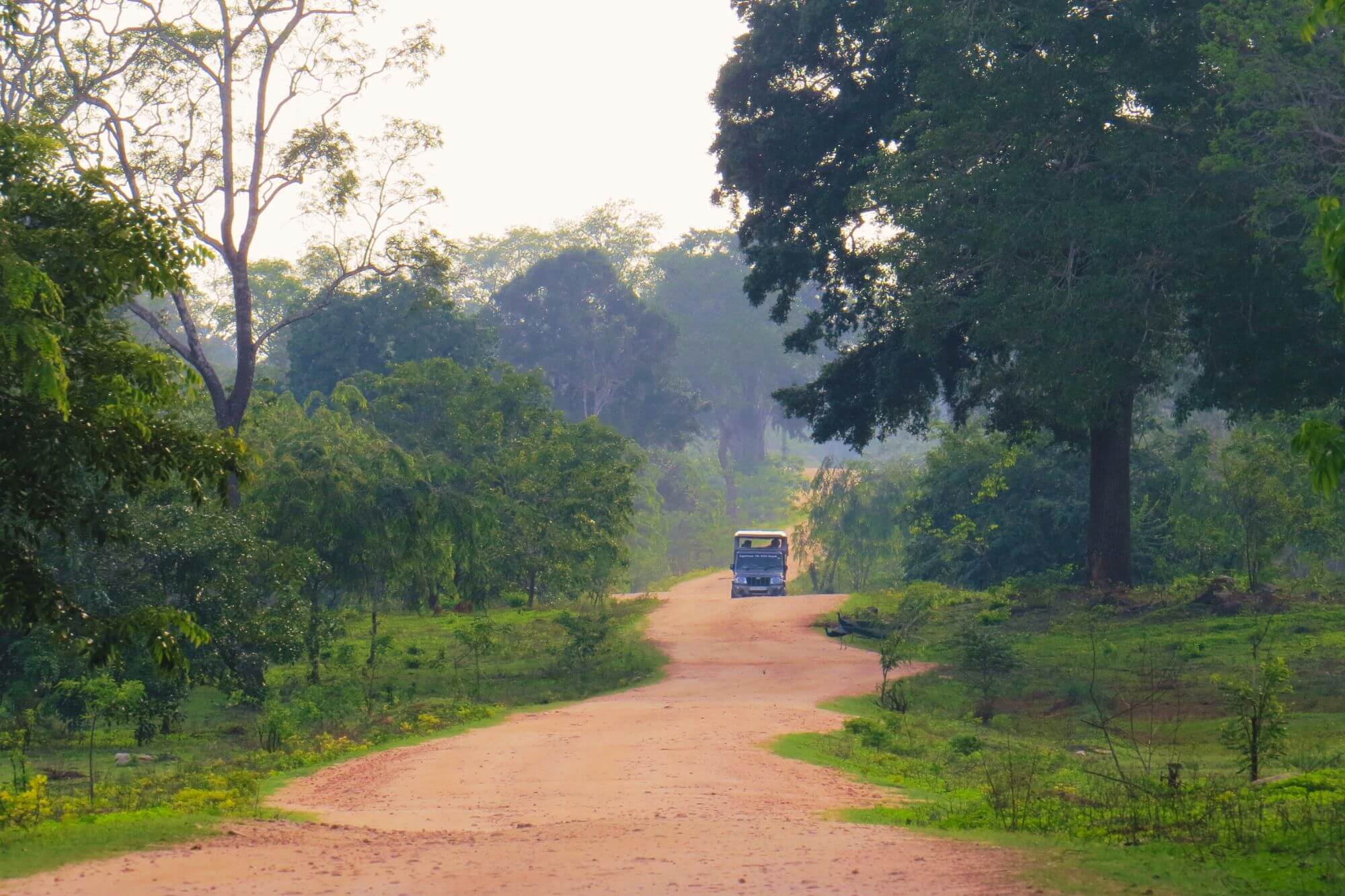 Im Yala Nationalpark image