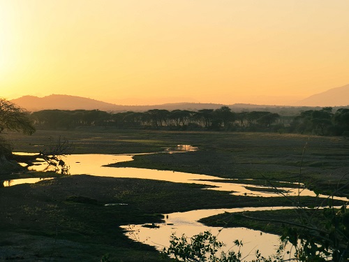 Die Nationalparks von Mikumi und Udzungwa image