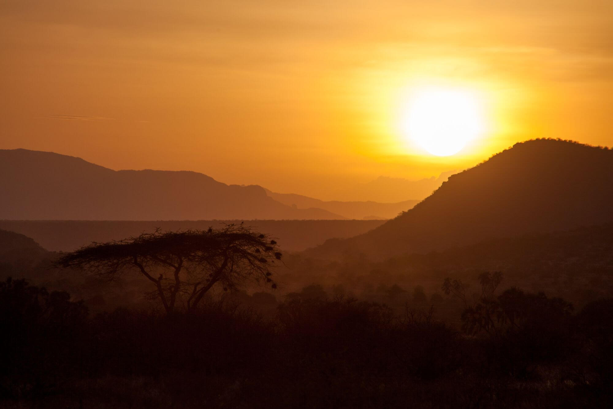 Samburu image